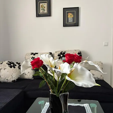 Jana דירה
